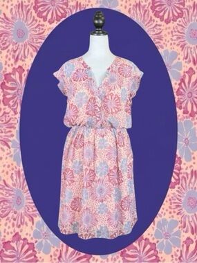 ModCloth Retro Mod Boho Grandmacore Feminine Pink Blue Floral Tie Back Dress 3X